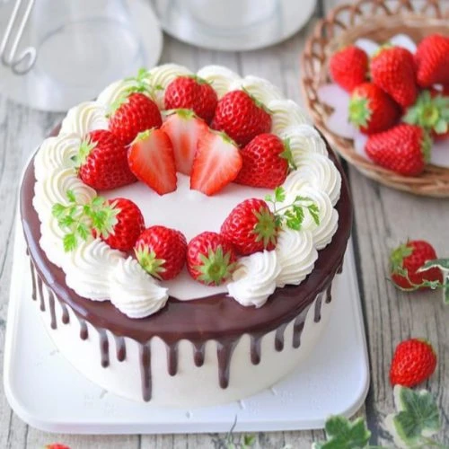 agar agar food