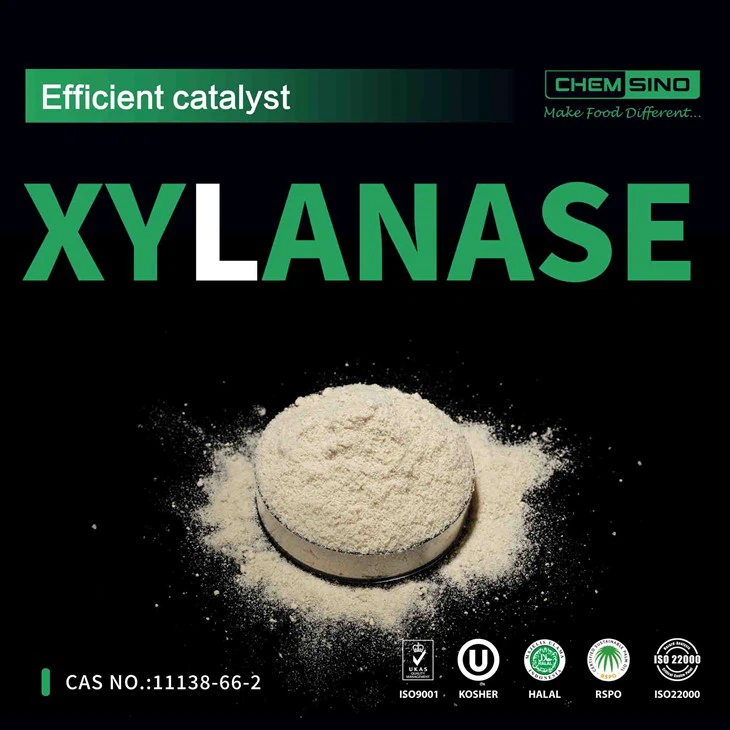Presentazione di CAS 9025-57-4: il potere dell'enzima xilanasi!