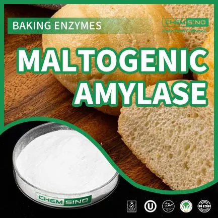 Dal grano alla gloria: come l'amilasi maltogenica trasforma le tue ricette.CAS NO. 9000-92-4