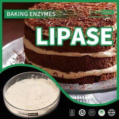 Aumenta la disgregazione dei grassi: l'enzima lipasi per una nutrizione ottimale N. CAS:9001-62-1